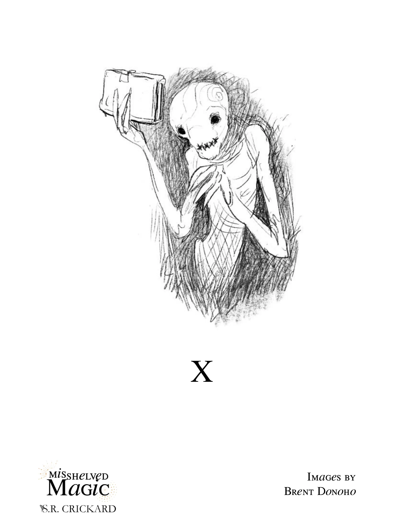 Misshelved Magic illustration 1