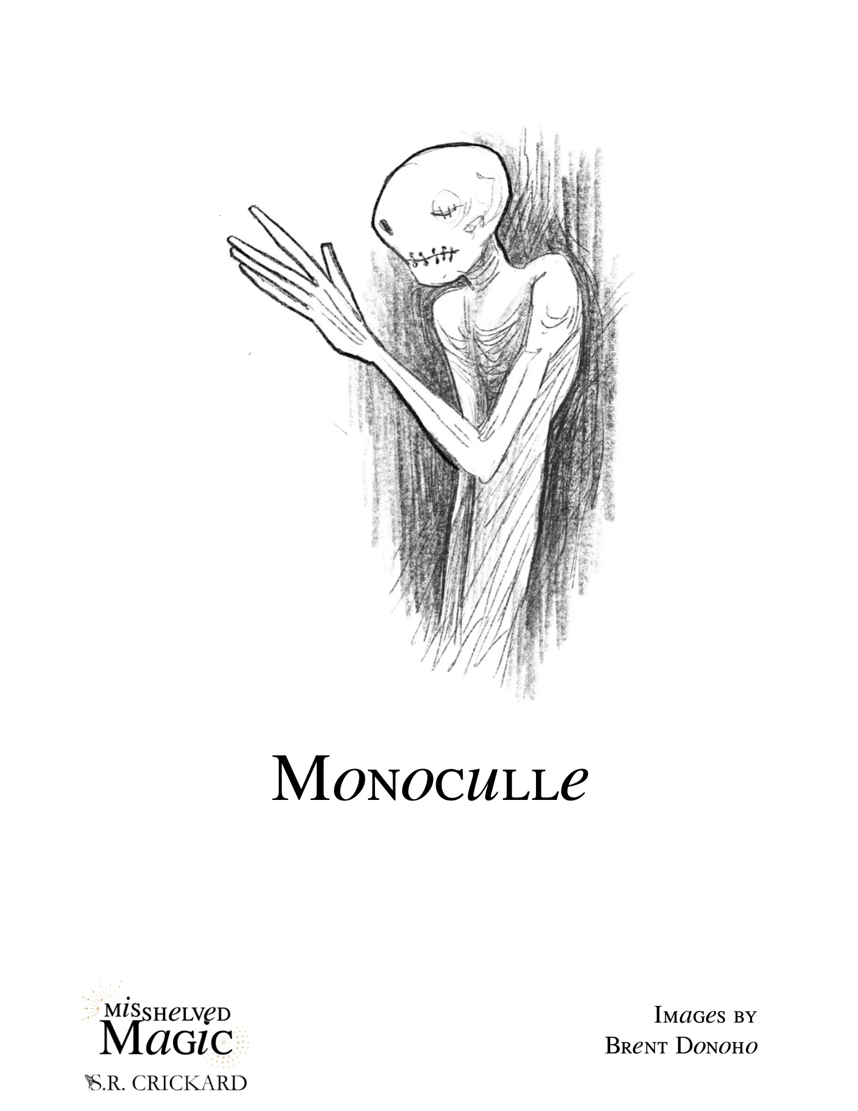 Misshelved Magic illustration 2